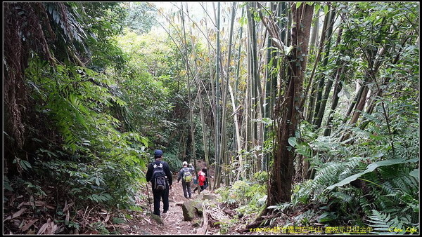 B41登石牛山 慶元旦迎金牛.jpg