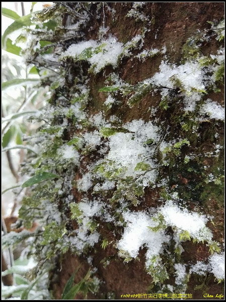 B13李棟山追雪趣.jpg