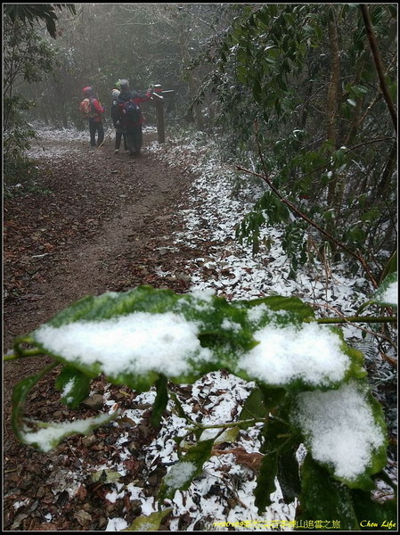 B41李棟山追雪趣.jpg