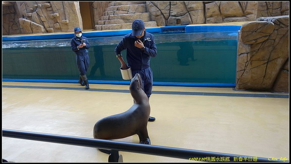 B46桃園水族館  新春半日遊.jpg