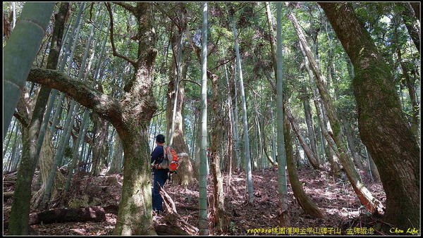 B15桃園復興金牌縱走.jpg