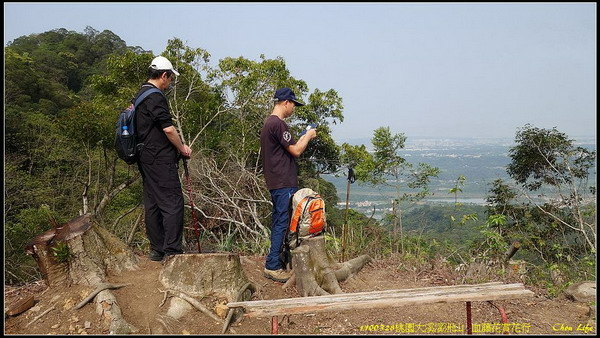 B16桃園溪洲山血藤花賞花行.jpg