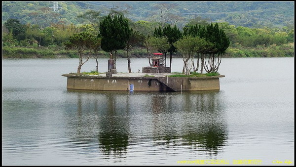 B61桃園溪洲山血藤花賞花行.jpg