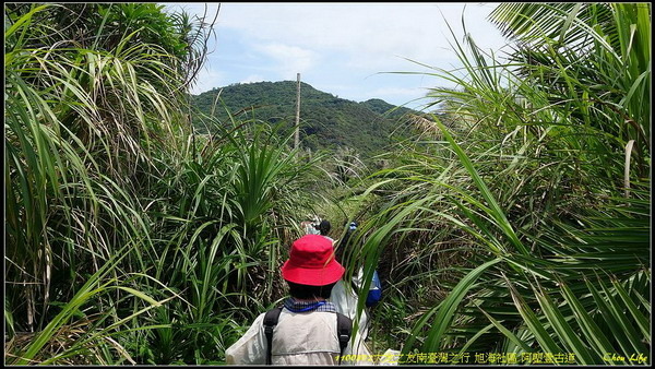 B31旭海阿塱壹古道.jpg