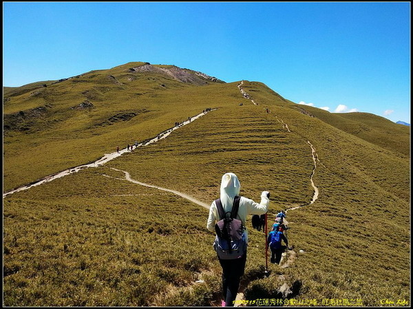 B30合歡山北峰 紅毛杜鵑.jpg