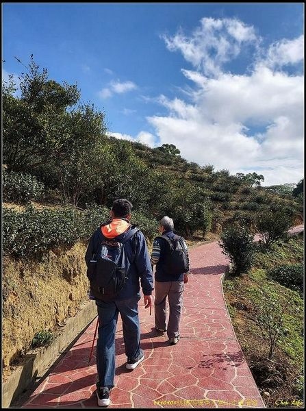 078楊梅秀才登山步道.jpg