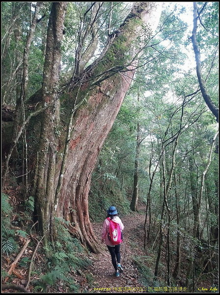 B38巴福越嶺古道健走.jpg