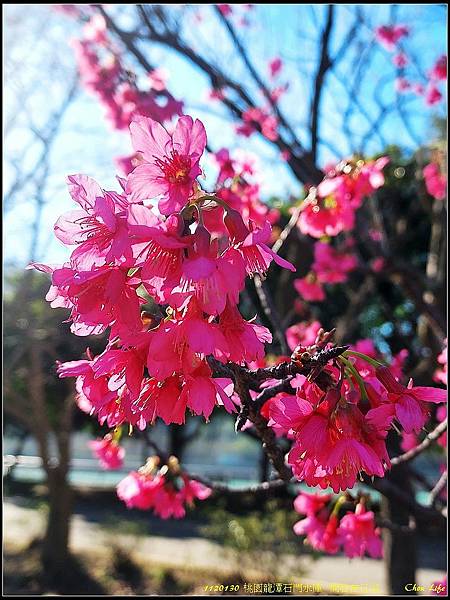 019石門水庫  開春首日遊.jpg