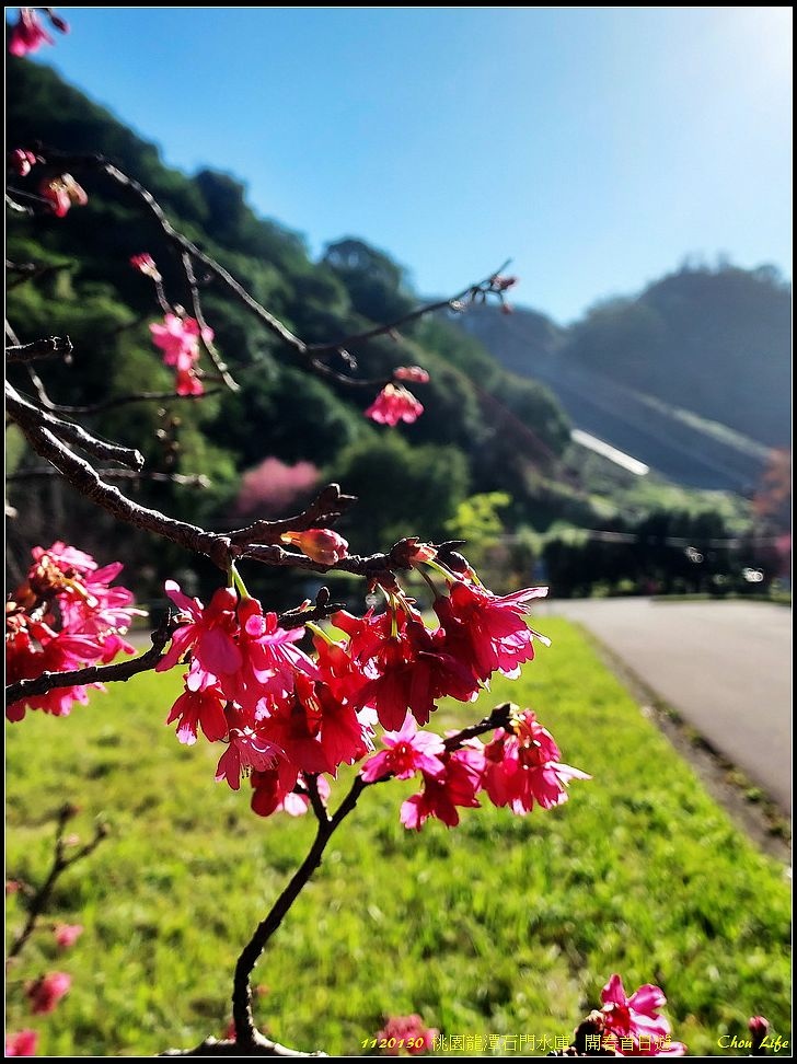 022石門水庫  開春首日遊.jpg