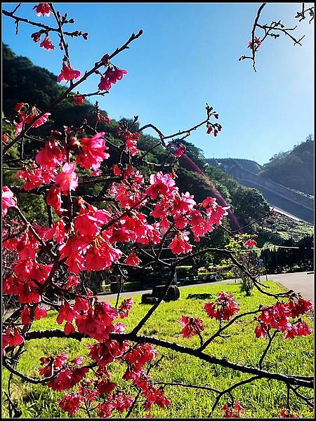 021石門水庫  開春首日遊.jpg