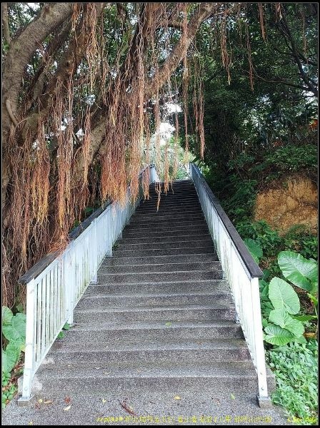 006金瓜石報時山步道.jpg