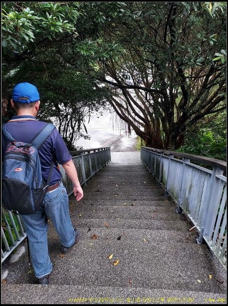 028金瓜石報時山步道.jpg