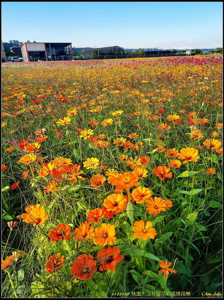 B08大溪月眉花彩區.jpg