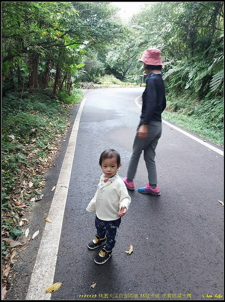 B12百吉林蔭步道.jpg