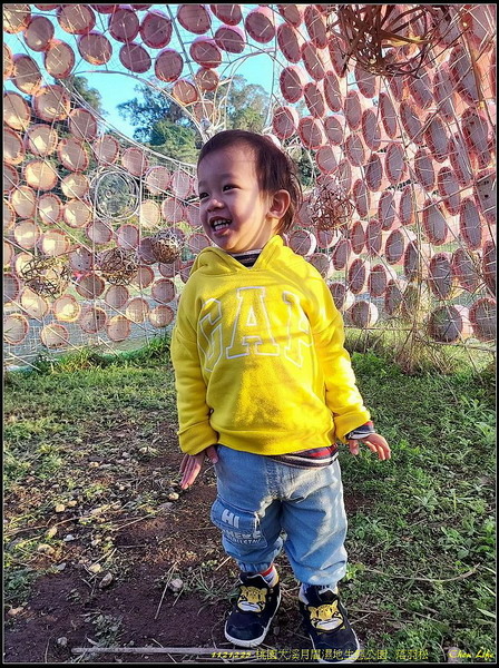 B42月眉濕地公園  落羽松.jpg