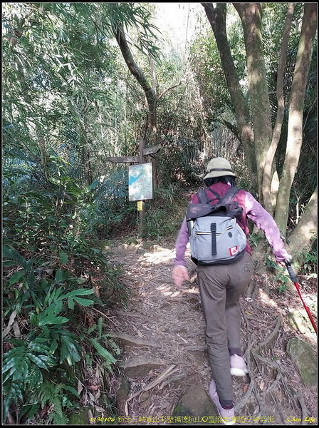 B20鳶山彩壁福德山.jpg