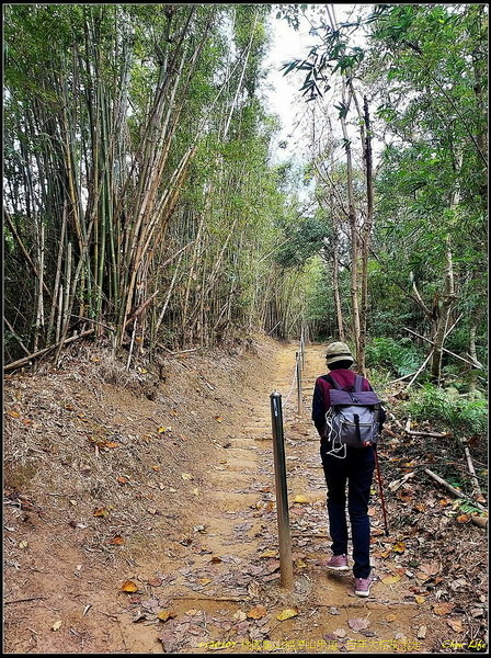 B06福源山步道.jpg