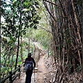 B04福源山步道.jpg