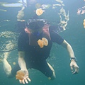 我在水中與水母緩緩的漂浮