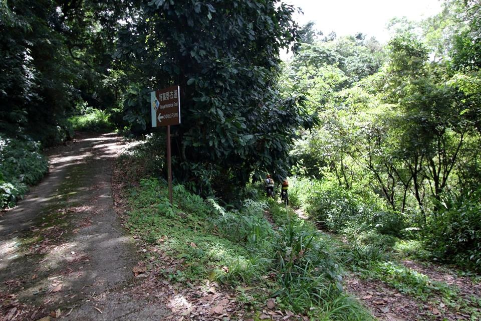 021.jpg 021.jpg
