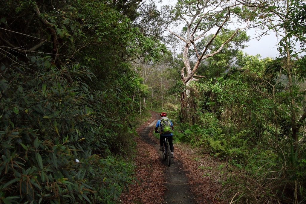 IMG_7500.jpg IMG_7500.jpg