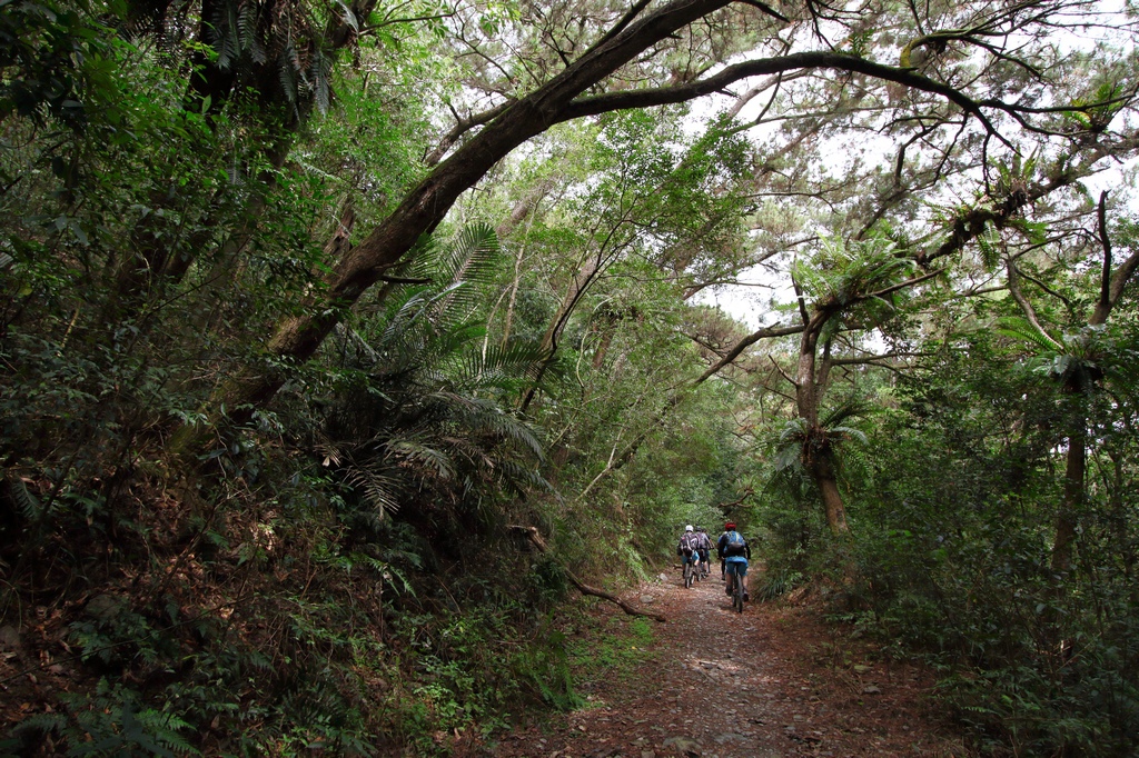 IMG_7519.jpg IMG_7519.jpg