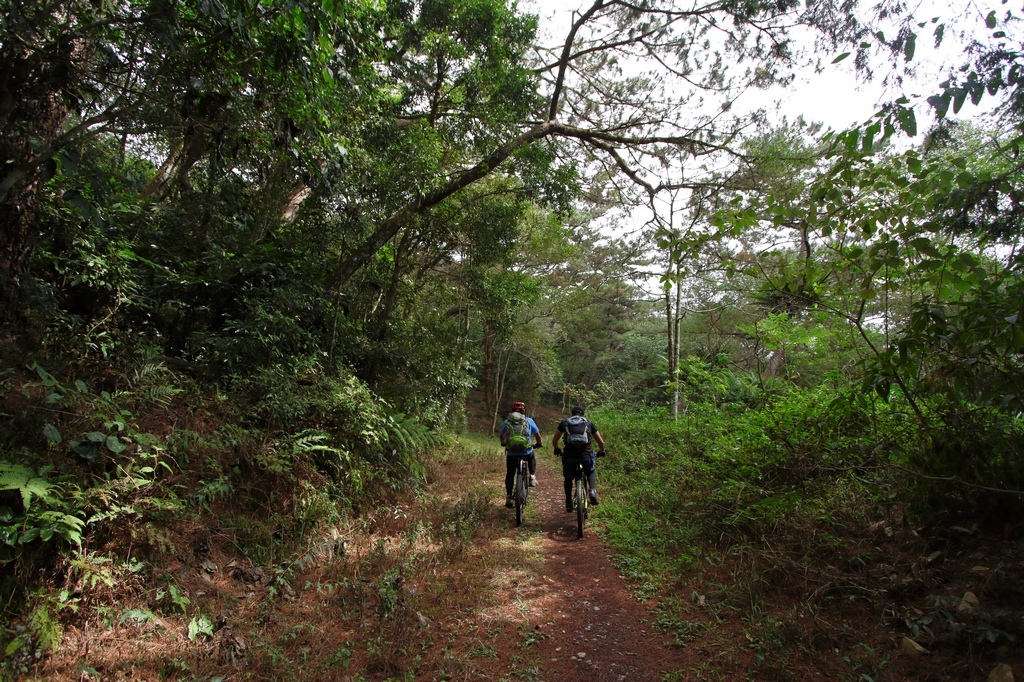 IMG_7543.jpg IMG_7543.jpg