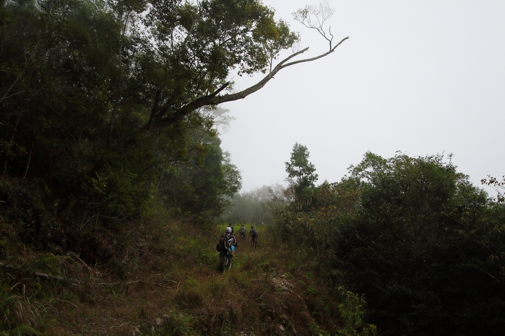 IMG_7602.jpg IMG_7602.jpg