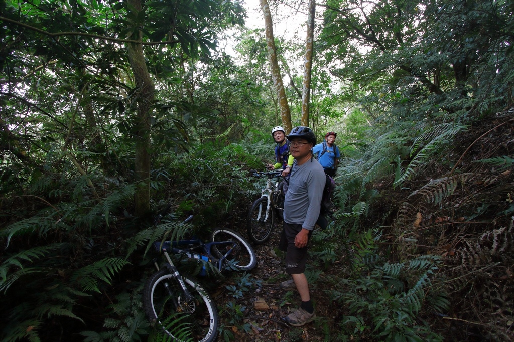 IMG_7617.jpg IMG_7617.jpg