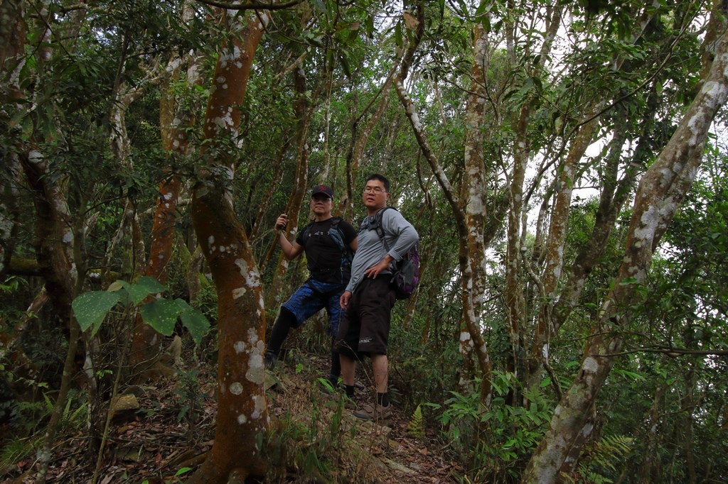 IMG_7621.jpg IMG_7621.jpg