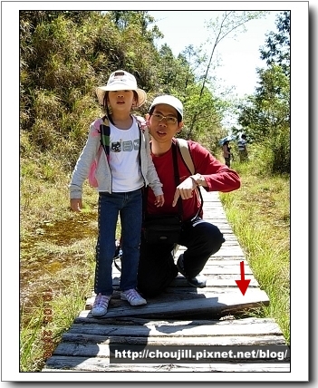 小敏很貼心的提醒我:馬麻你要小心,這個木頭會蹺起來喔! 小敏很貼心的提醒我:馬麻你要小心,這個木頭會蹺起來喔!