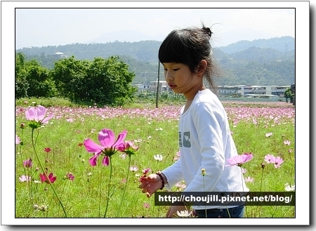 採花準備