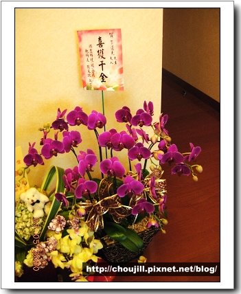 DSCN9016.jpg DSCN9016.jpg