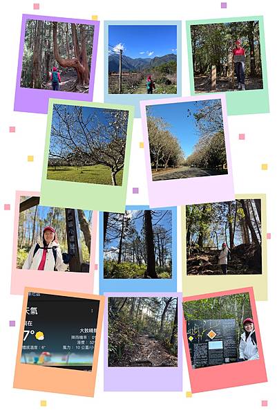 114.01 飛快的元月 114.01 飛快的元月