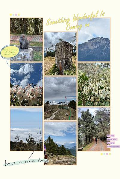 114.03 奔跑的日子