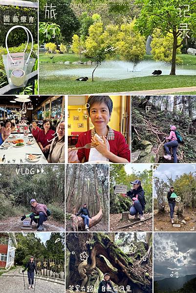 114.04 忙中有序的生活