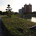 豊樂公園的景色11.JPG