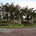 豊樂公園的景色32.JPG