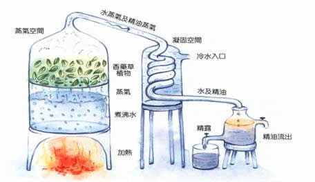 蒸餾法.jpg