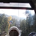 IMG_2852.JPG