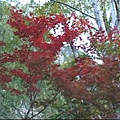 九寨溝之旅-24.bmp