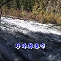 九寨溝之旅-40.bmp