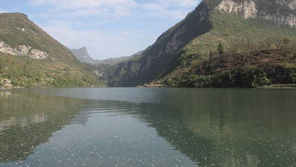 湖景還可以看，水面垃圾很多，聽他解釋是因為都在下雨，垃圾由上游沖下來，今天天氣才好，我相信地上低窪處還有積水。