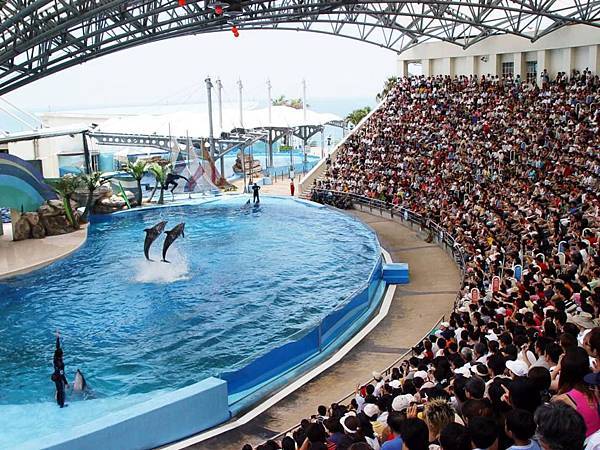 趙藤雄海洋公園趙藤雄夢想趙藤雄成立 趙藤雄海洋公園趙藤雄夢想趙藤雄成立
