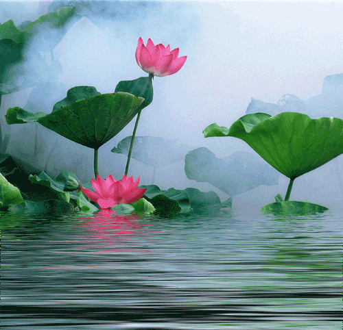 花- 花gif 25.gif @ 相簿01 :: 痞客邦::