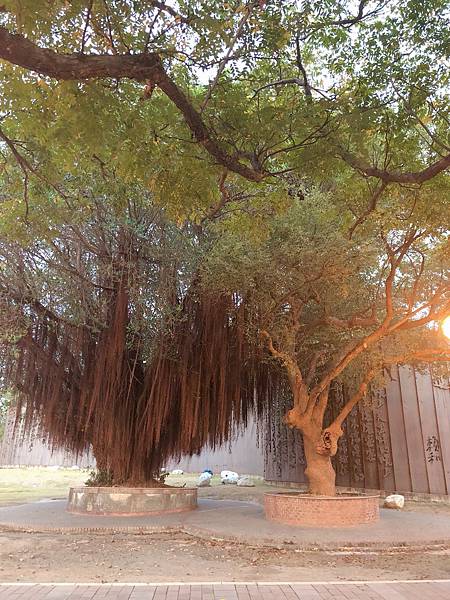 S__20742150.jpg S__20742150.jpg