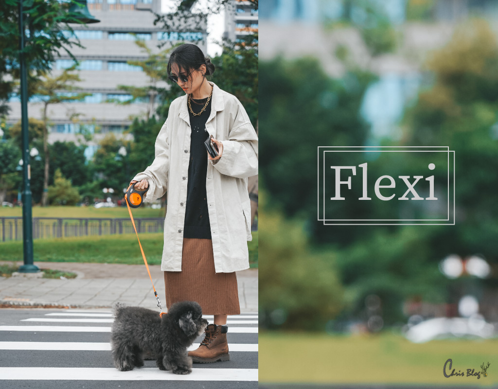 Flexi狗牽繩穿搭封面02.jpg