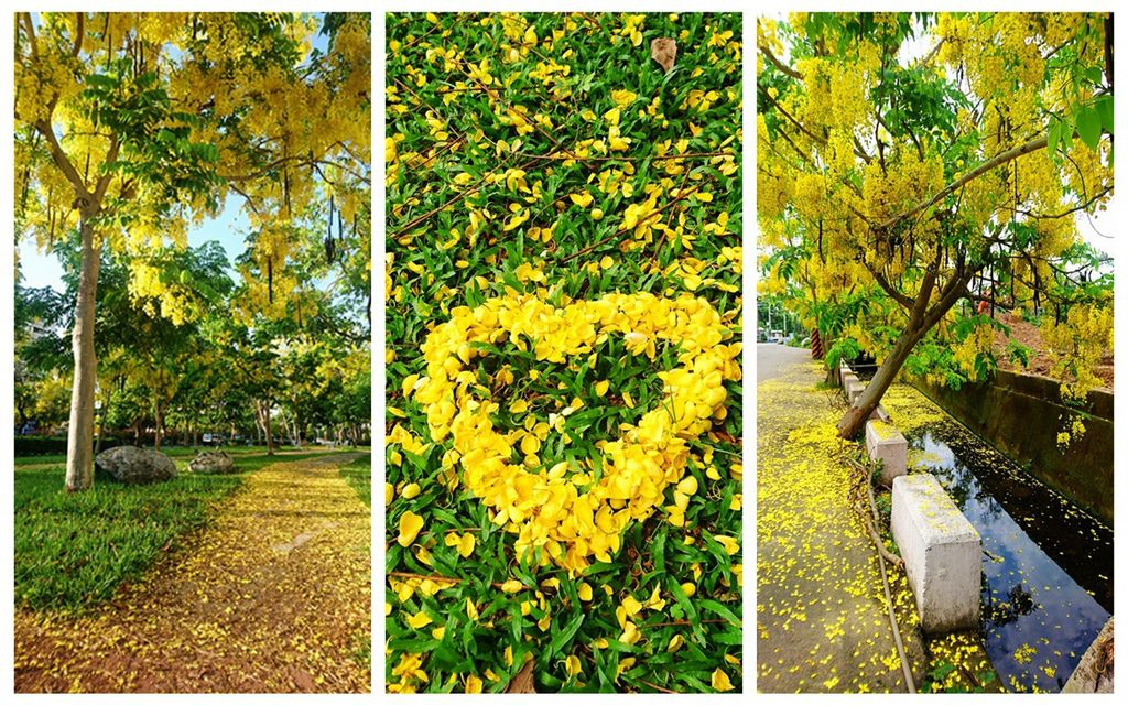 DSC_0052.JPG DSC_0052.JPG