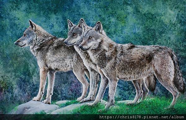 20211185704_狼族兄弟_Mountain Wolves_油畫_Oil on canvas_92x60cm_30M_動物_尤倫斯·達內斯_Llorens Danes_西班牙_2019.jpg