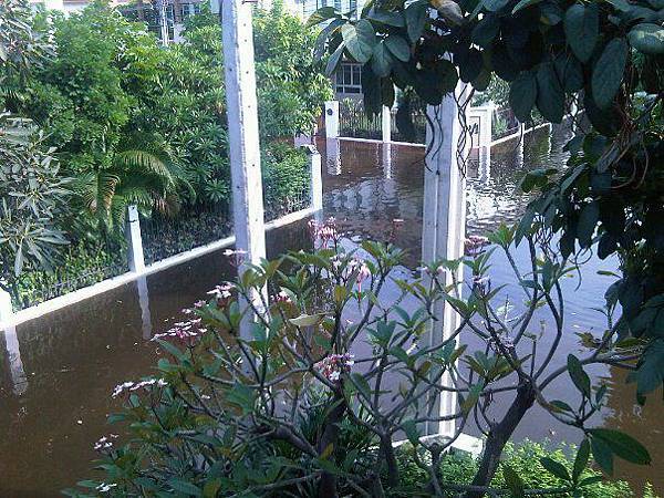 saransiri flood 2.jpg